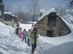 Copie (2) de Copie de P2120025.JPG