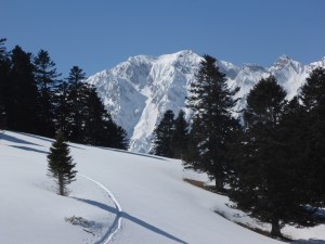 Copie de denis 020.jpg